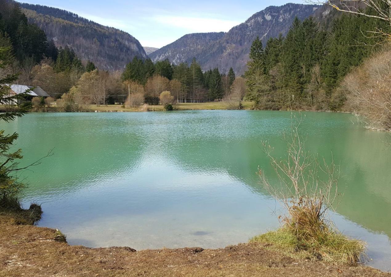 Apartment Apartma Manca Kranjska Gora